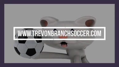 TREVON BRANCH SOCCER CLINICS IN MARYLAND AND CALIFORNIA